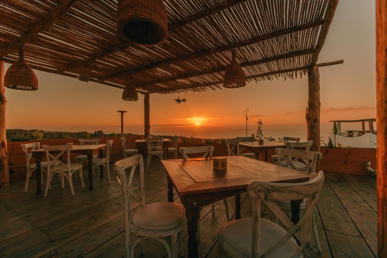 San José del Cabo Nest Baja酒店 外观 照片